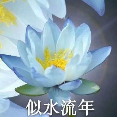 无尽战记果盘版下载